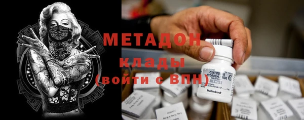 PSILOCYBIN Алзамай