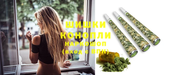 PSILOCYBIN Алзамай