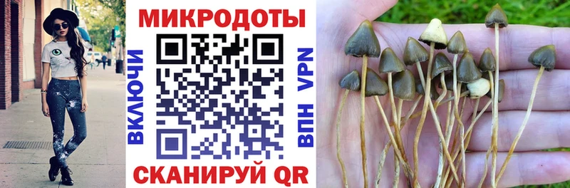 Псилоцибиновые грибы мухоморы  Пущино 
